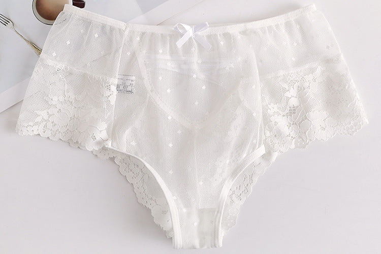 SHEER SLIP PANTY