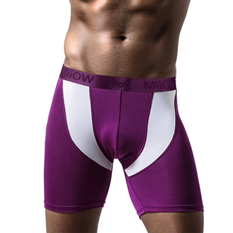 HIGH WAIST BOXER