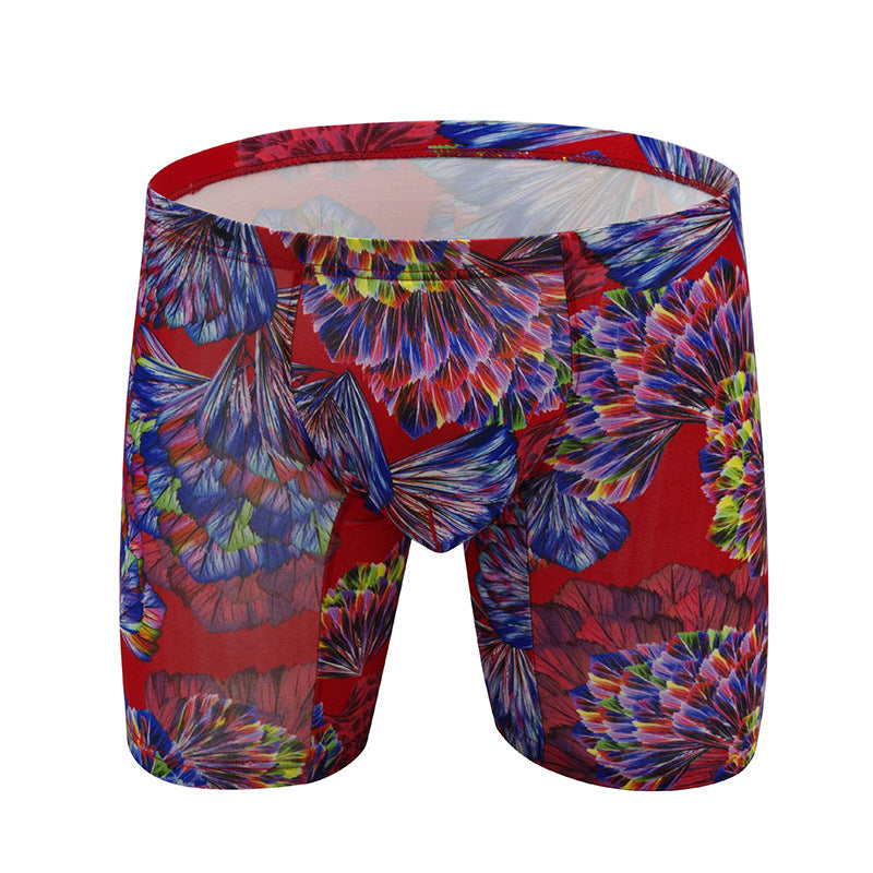 BIRDS WINGS PRINT BOXER